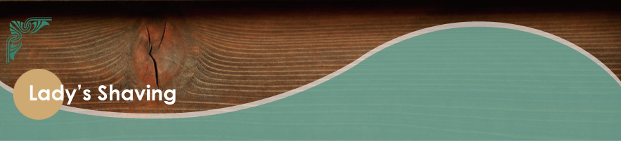 �G�X�e�V�F�[�r���O