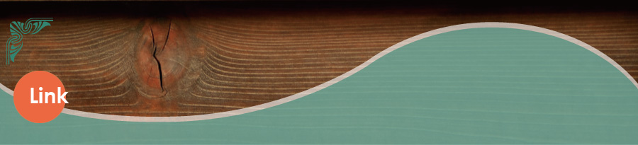 ���f�B�[�X�V�F�[�r���O